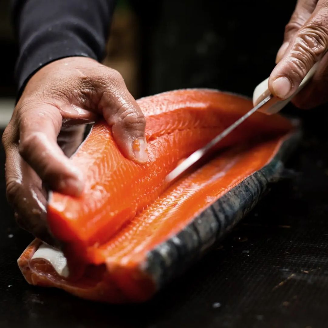 Dansk Lakseside fra Skagen Salmon - Kystfisken