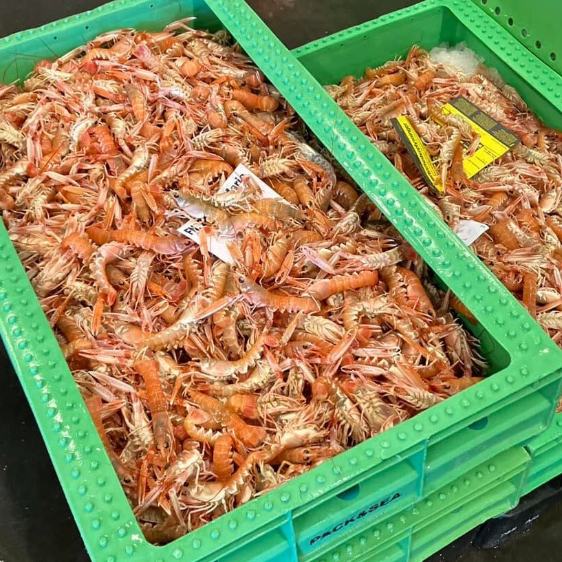 Eksklusivt SMS tilbud: 2 KG Petit jomfruhummere - 100 kr - Kystfisken