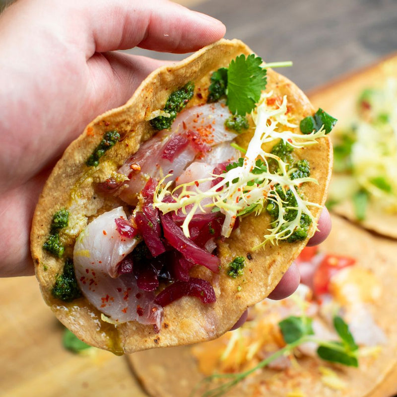 Hjemmelavet bløde tacos med ceviche af multe a la Oaxaca