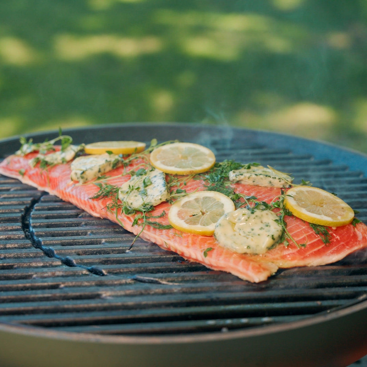Skagen Salmon Laksesider - Store