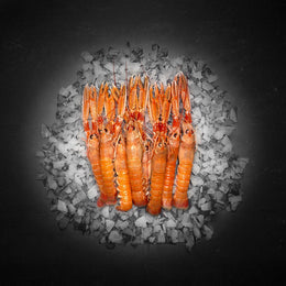 Danske jomfruhummere (Frost)