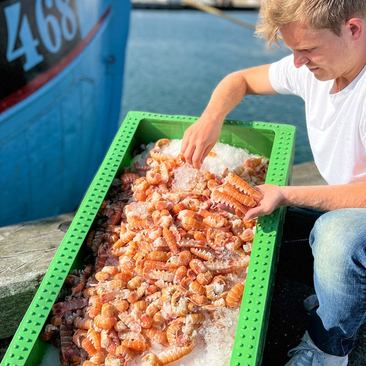 Danske jomfruhummerhaler - Kystfisken