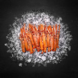 Petit jomfruhummere 1000 GR.
