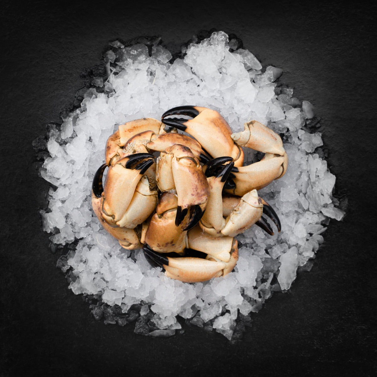 Krabbeklør (Normal str.) - 1000 G. - Kystfisken
