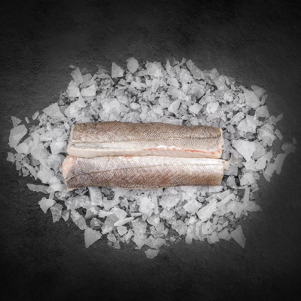 Kulmuleloin - Kystfisken