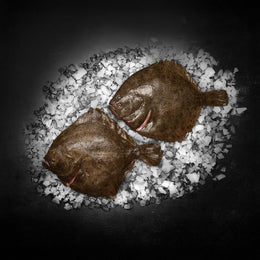 Dansk portions pighvar