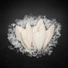 Rødspættefilet (enkeltfrosne)