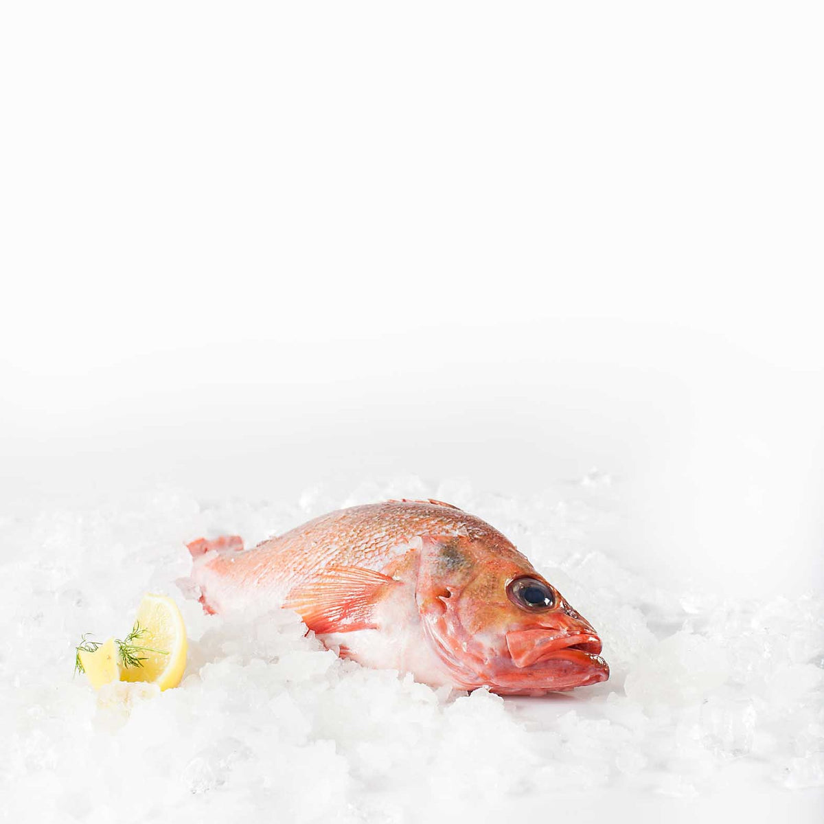 Skarp pris: Linefanget rødfiskefilet (Med skind)